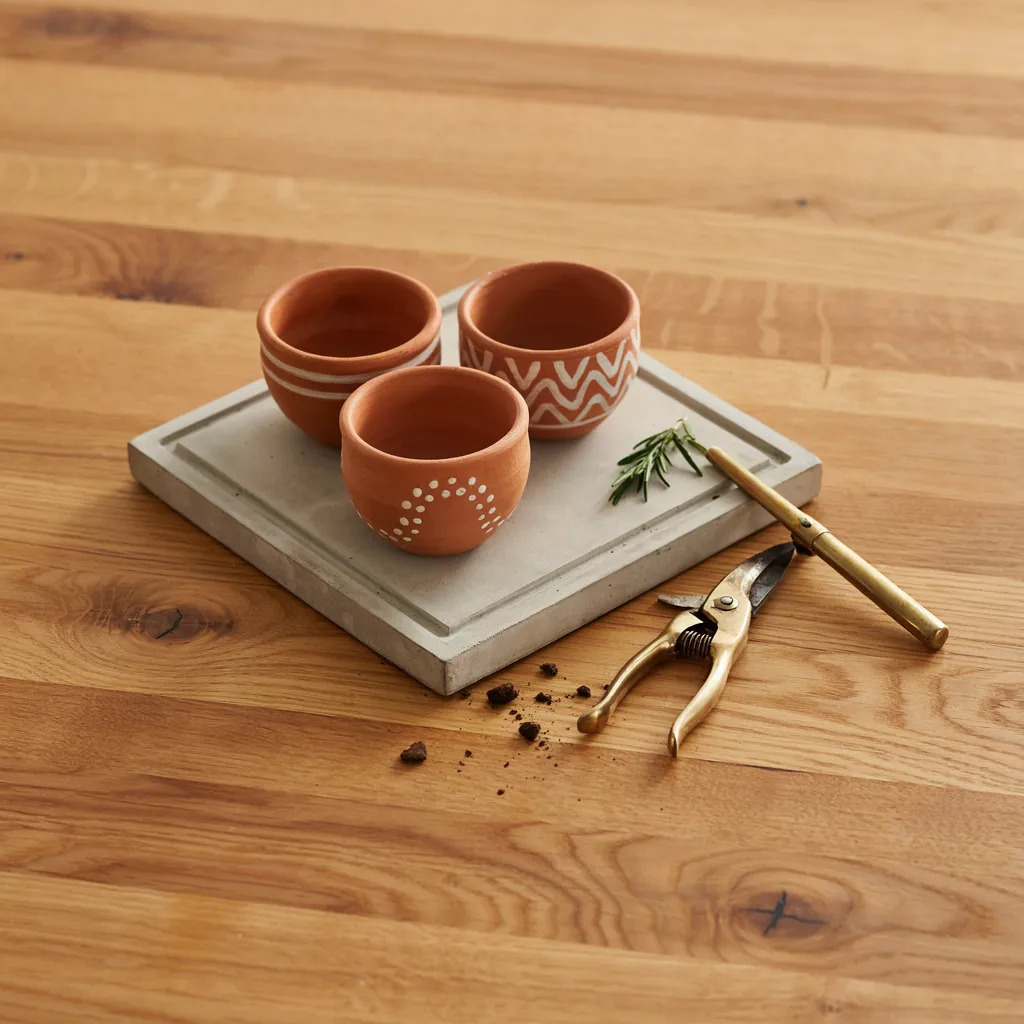Terracotta herb garden kit DIY gift set